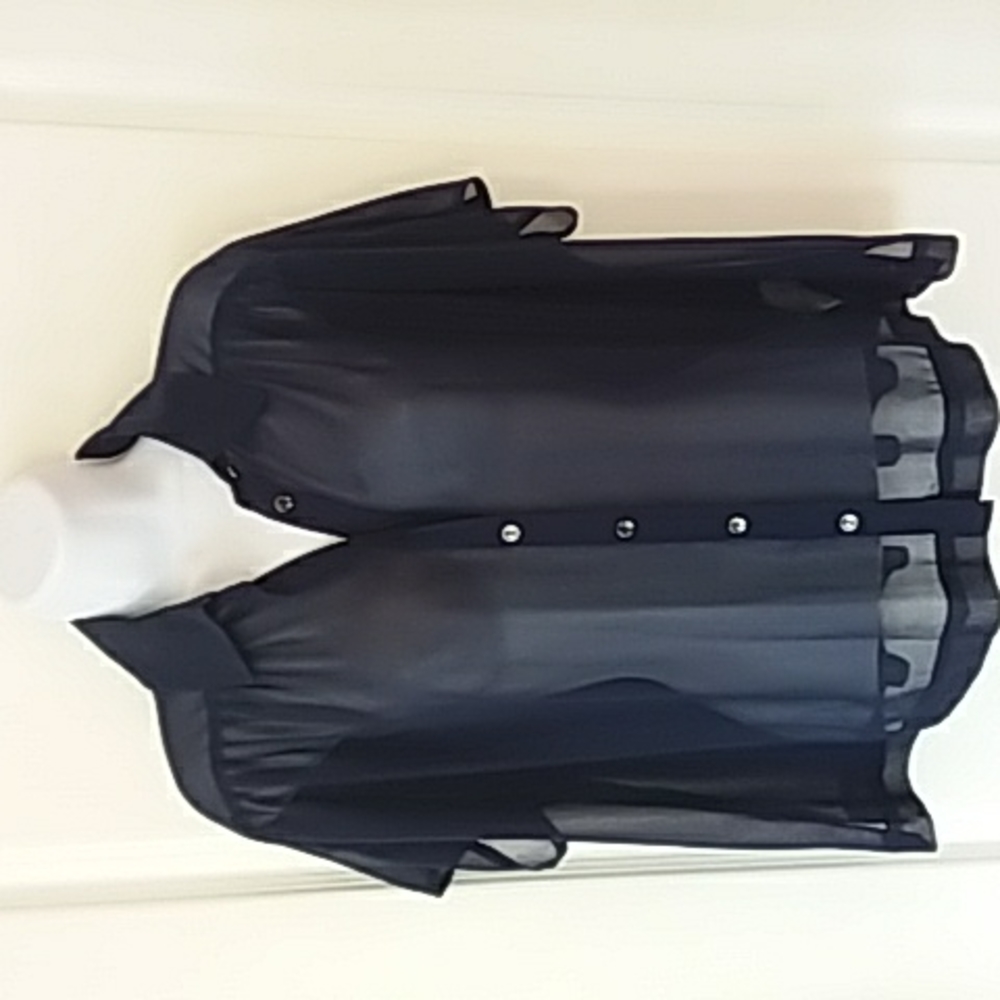 Kensie sheer short sleeve blouse